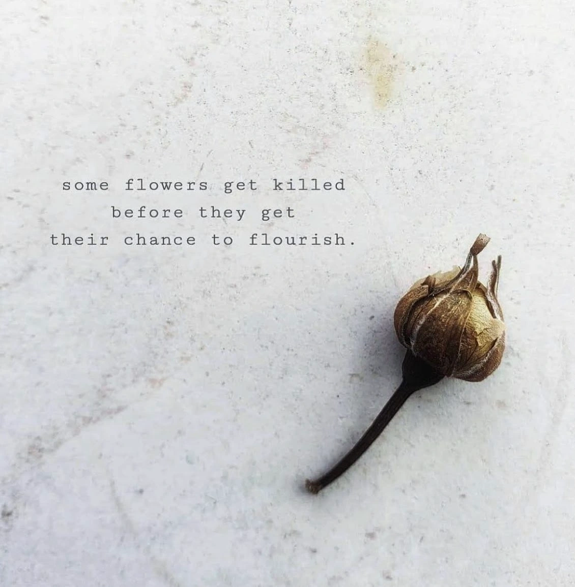 poem art